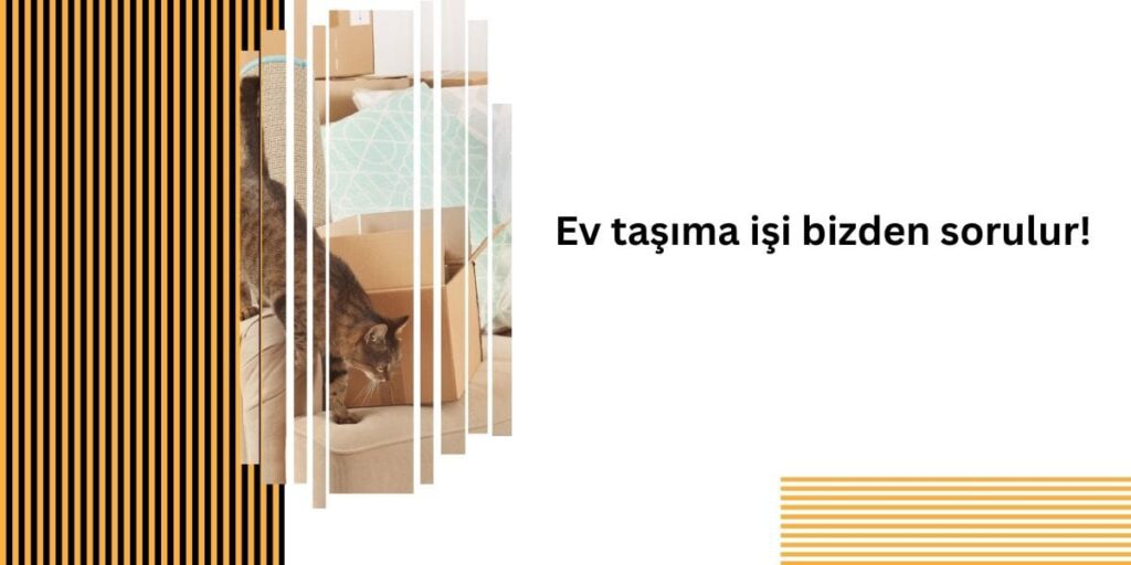 Arnavutköy Evden Eve Nakliyat