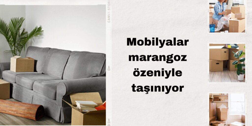 Bayburt Evden Eve Nakliyat