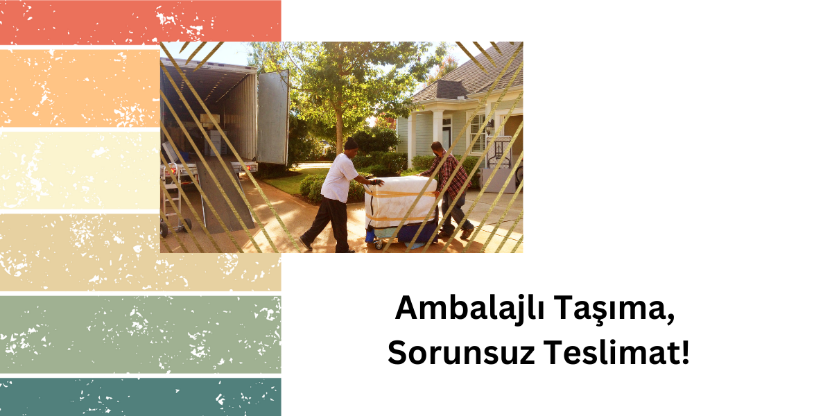 Ambalajlı Taşımacılık