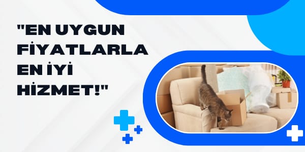 Cevizlibağ Nakliye Kamyonet