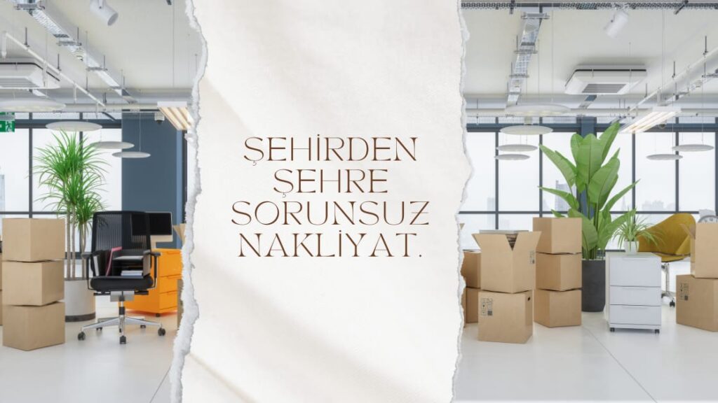 Şile Asansörlü Nakliyat
