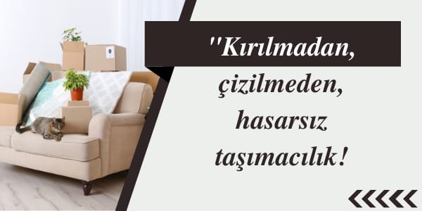 Yeşilkent Nakliye Kamyonet