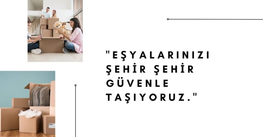 Dilovası Nakliye Kamyonet