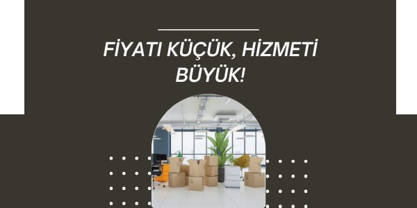 Bozkurt Ambar