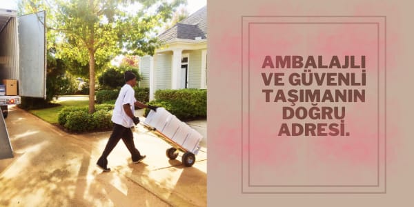 Çine Ambar