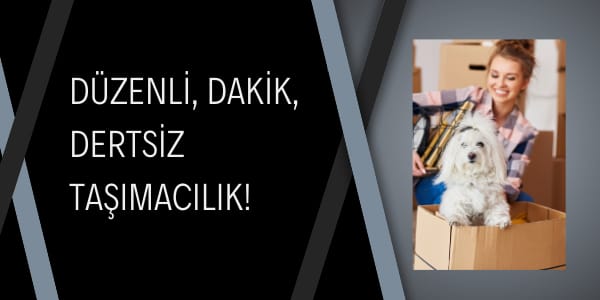 Gönen Ambar